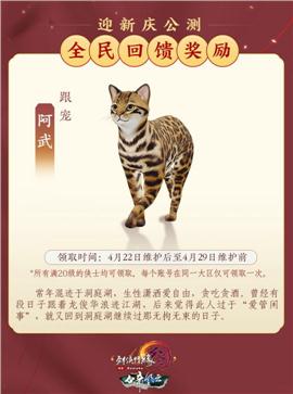 天龙八部私服  烈火永生